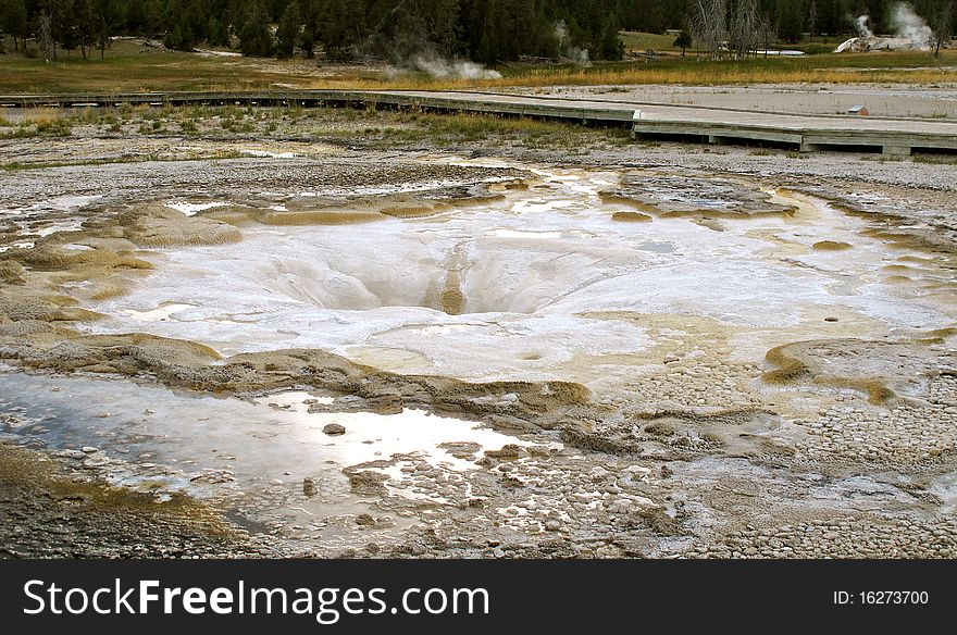 geyser in the yellow stone national park america. geyser in the yellow stone national park america