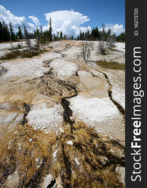 Landscape in yellow stone national park west america. Landscape in yellow stone national park west america