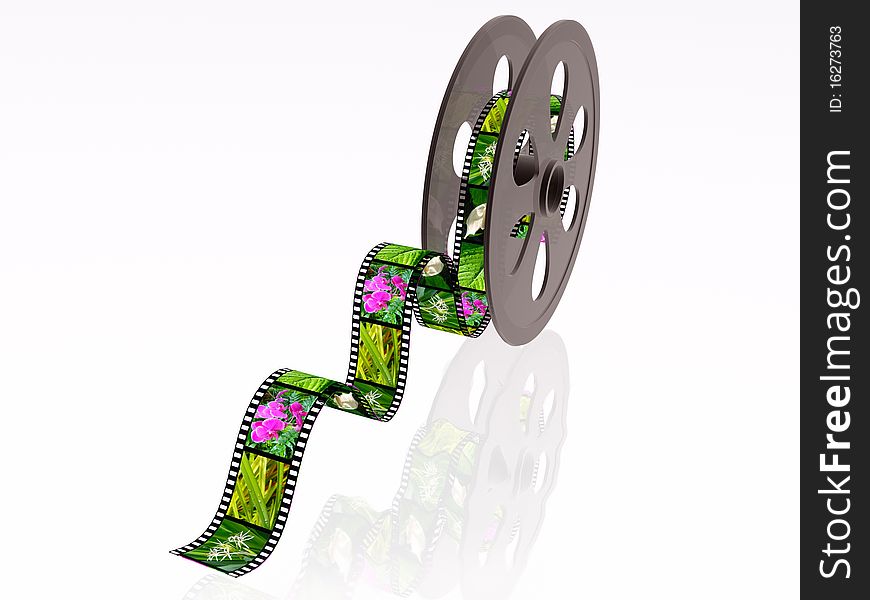 3d film roll with color pictures (nature).