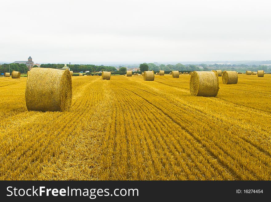 Straw bales in the field near Exeter. Straw bales in the field near Exeter