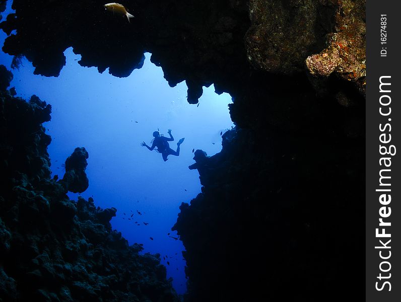 Underwater canyon and diver