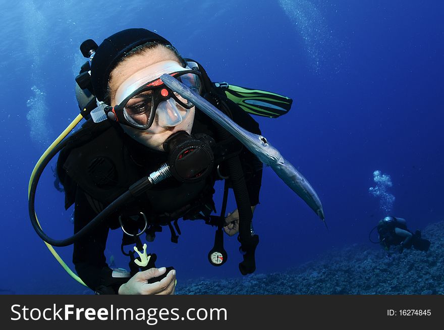 Scuba diver swims over reef with fish. Scuba diver swims over reef with fish