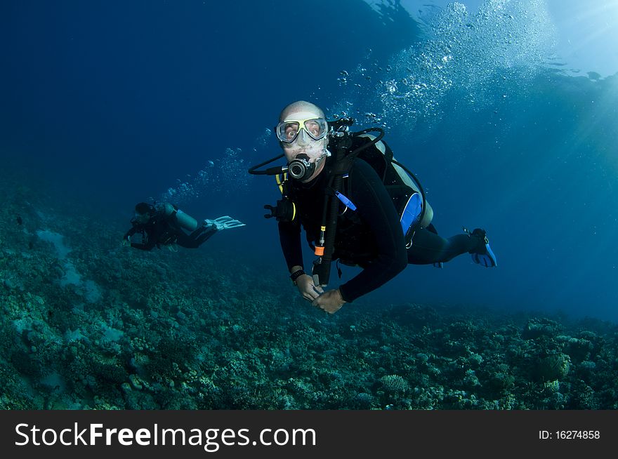 Two scuba divers explore a tropical reef. Two scuba divers explore a tropical reef