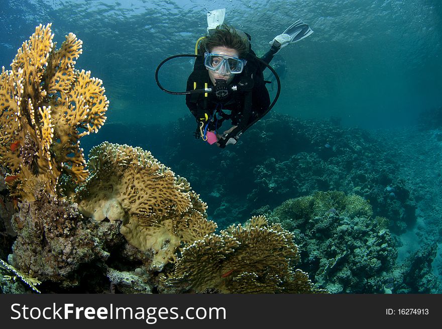 Scuba diver swims over reef