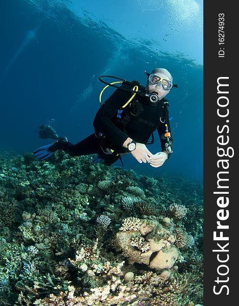 Scuba diver swims over reef