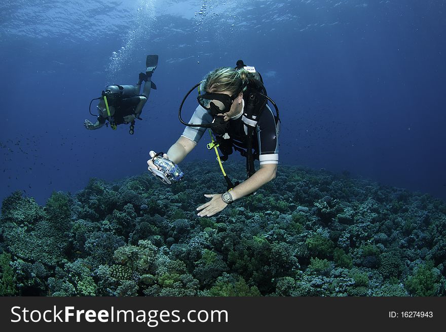 Scuba diver with camera swims in ocean. Scuba diver with camera swims in ocean