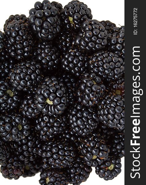 Close-up blackberries, isolated on white