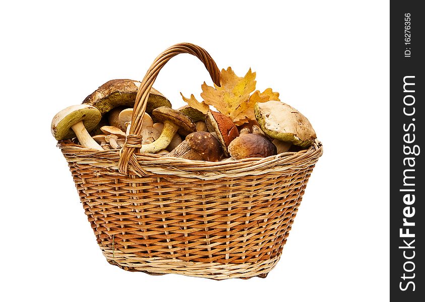 Basket With Mushrooms
