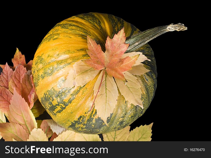 Pumpkin and leafs on black background