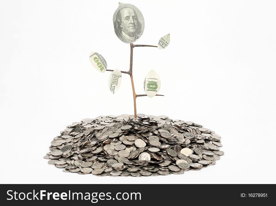 Monetary tree growing from coins