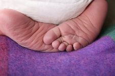 Newborn Feet Royalty Free Stock Images Newborn Feet Royalty Free Stock Images