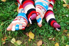 Socks In Autumn. Royalty Free Stock Photo Socks In Autumn. Royalty Free Stock Photo