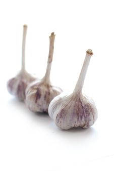Garlic Royalty Free Stock Photography