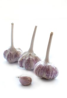 Garlic Stock Photo
