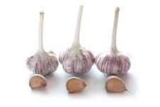Garlic Stock Photography