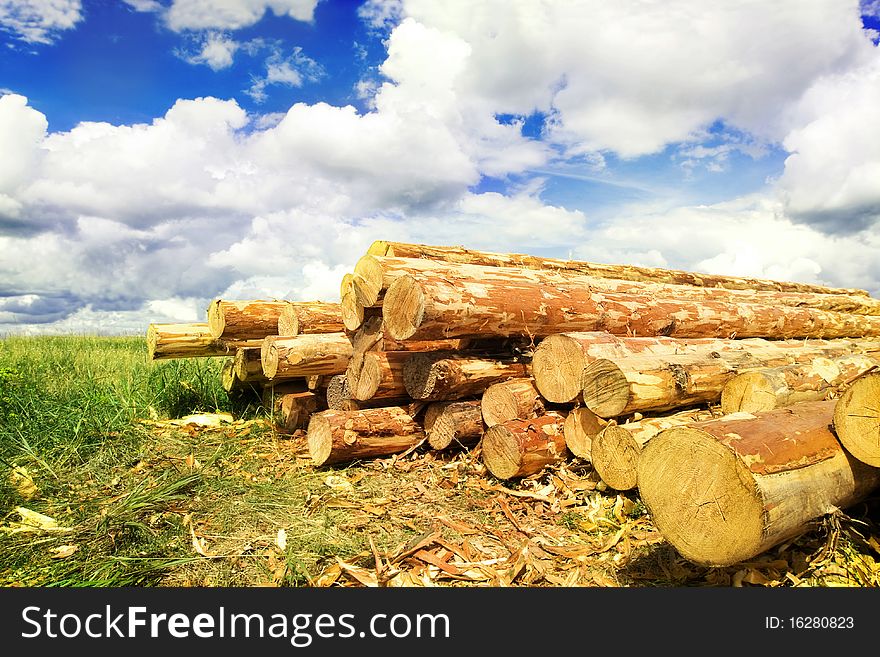 Woodpile in field