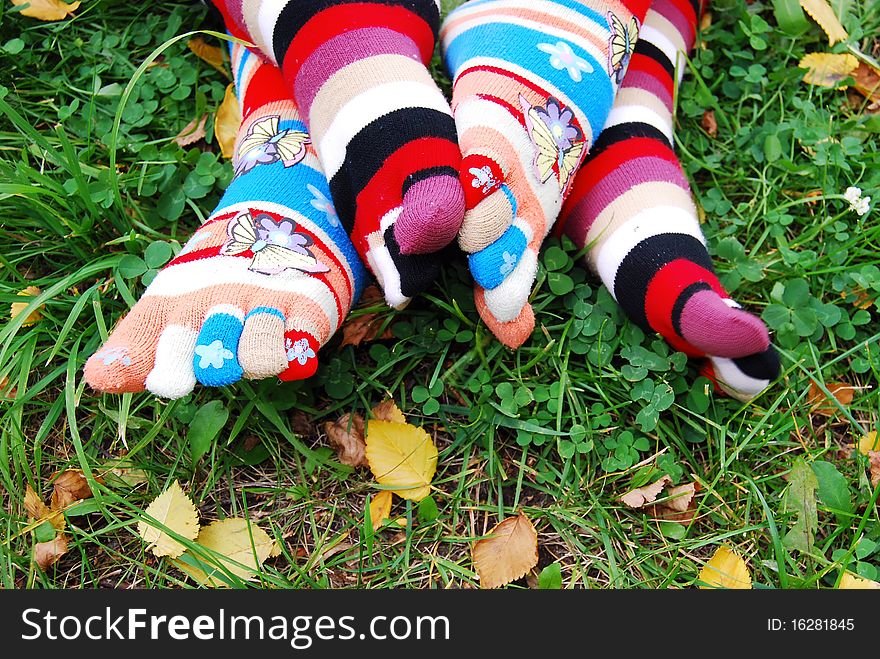 Beauty socks in autumn, on a grass. Beauty socks in autumn, on a grass.