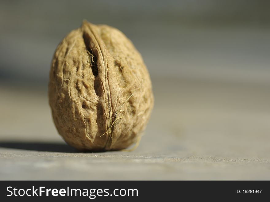 A walnut photographed on a soft background