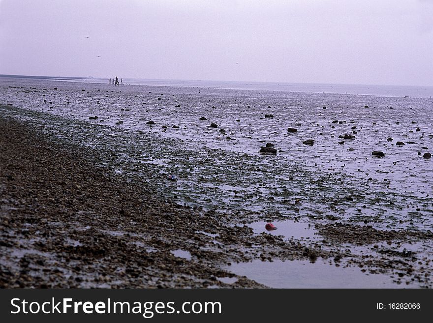 Coastline Of Northern Sea