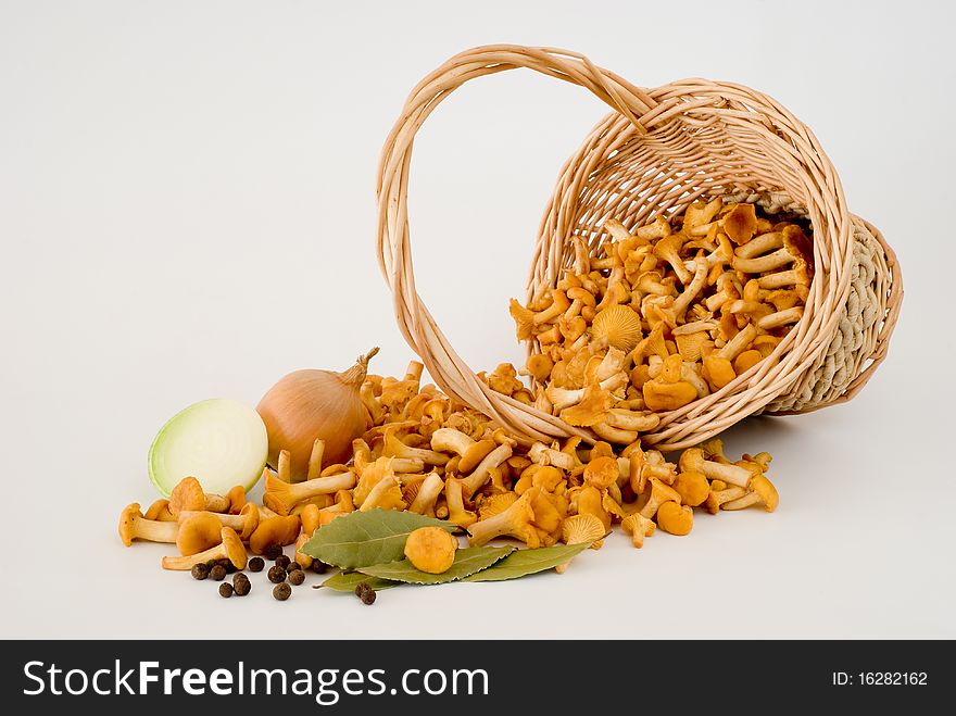 Preserves and of mushrooms