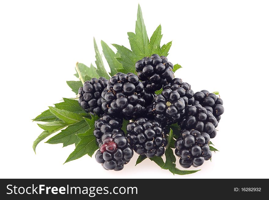 Blackberries with leaves.