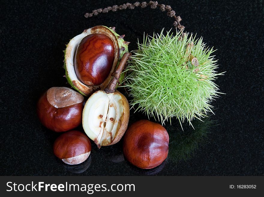 A selection of chestnuts & horse chestnuts against a black background. A selection of chestnuts & horse chestnuts against a black background