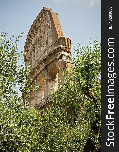 The old colosseum in the antic rome