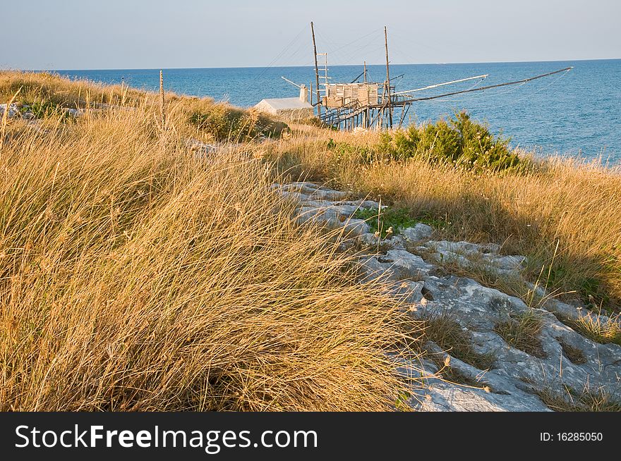 High grass at the blue sea in italy