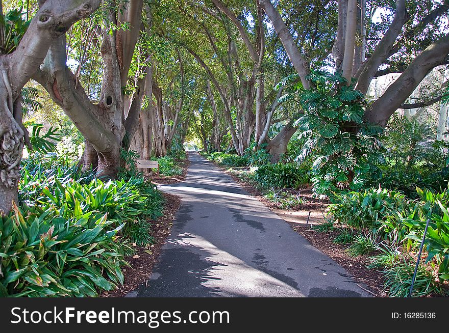 Botanic garden in Adelaide, South australia