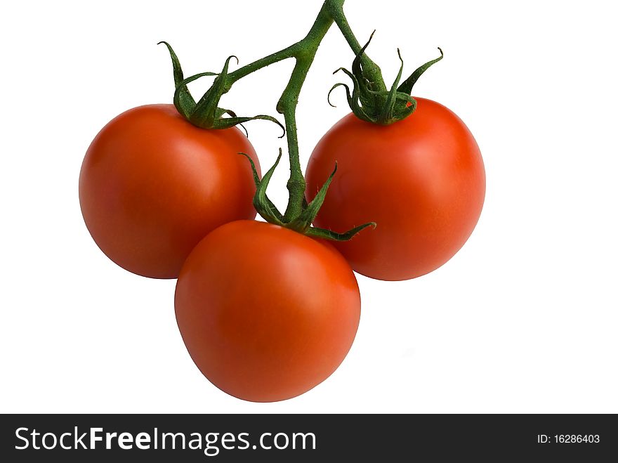 Three tomatoes on vine isolated on white. Three tomatoes on vine isolated on white