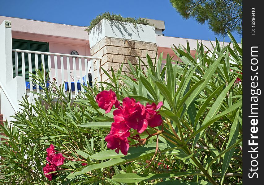 Holiday Apartment in Italy (Puglia)