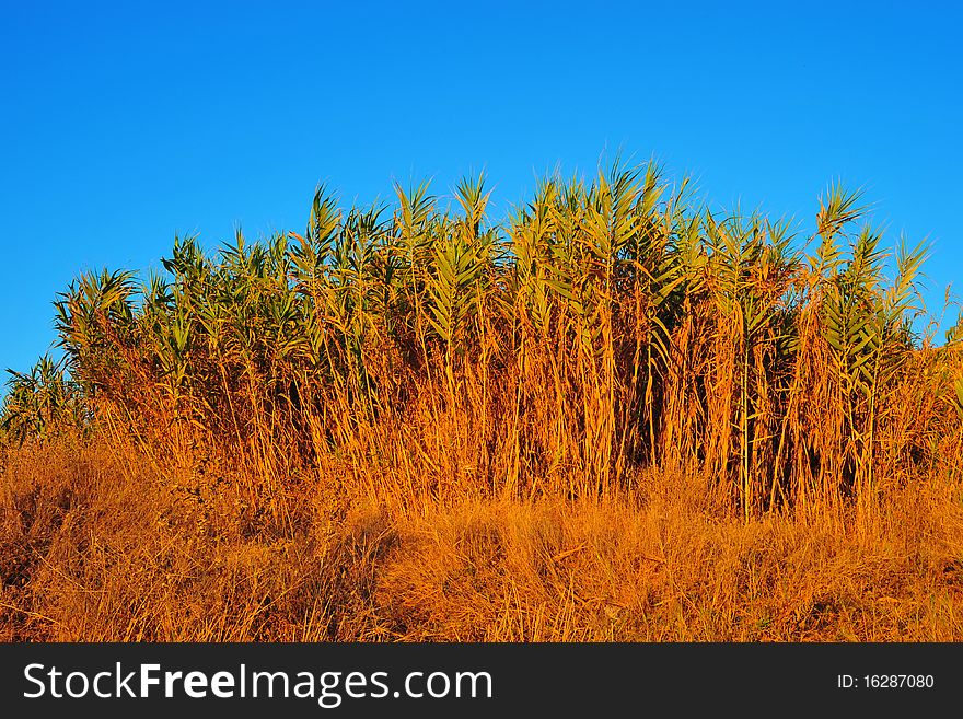 Drought conditions in central Italy