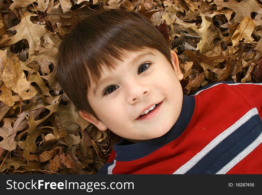 Adorable Asian American three year old laying in brown leaves. Adorable Asian American three year old laying in brown leaves.