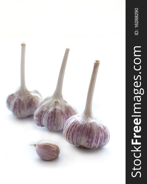 Garlic - a powerful immunostimulatory agent. Cloves of garlic isolated