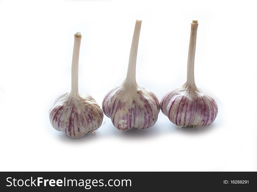 Garlic - a powerful immunostimulatory agent.Cloves of garlic isolated