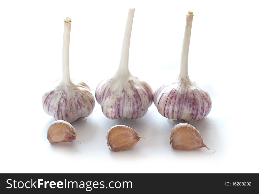 Garlic - a powerful immunostimulatory agent.Cloves of garlic isolated