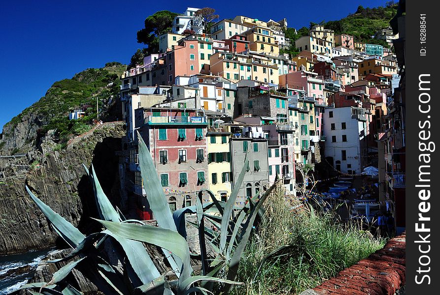 Beautiful village in Cinque Terre, Riomaggiore, La Spezia