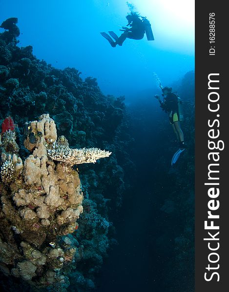 Scuba diver with coral reef in the distance. Scuba diver with coral reef in the distance