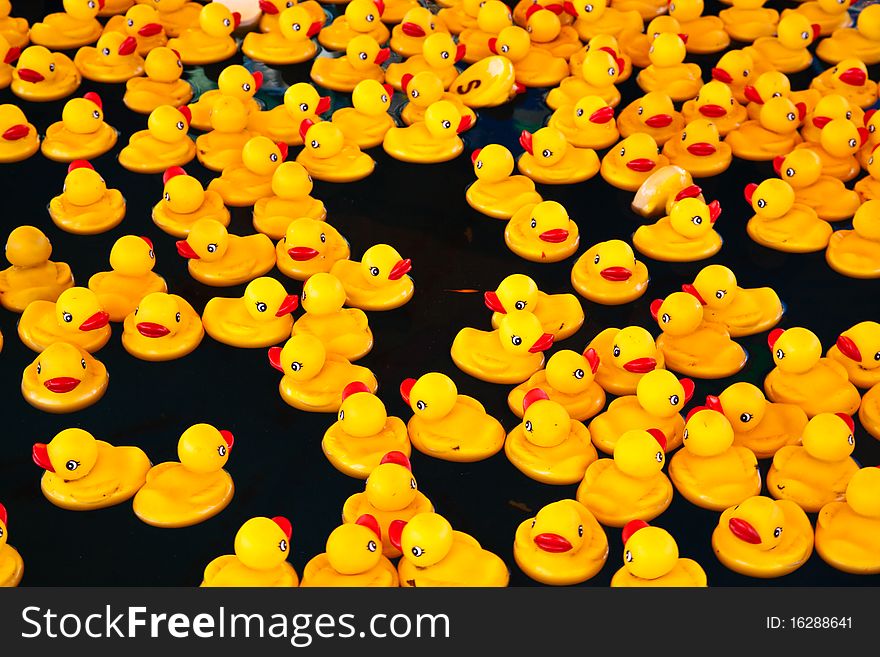 Yellow ducks in a pool