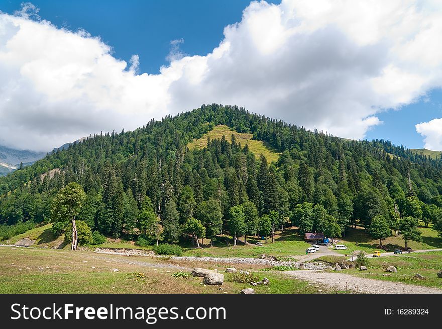 In Lake Ritsa Vicinities. Abkhazia.