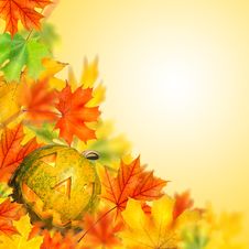 Halloween Pumpkin With Autumn Leaves Royalty Free Stock Image Halloween Pumpkin With Autumn Leaves Royalty Free Stock Image