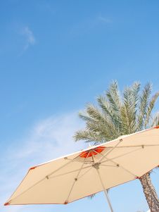 Beach Umbrella, Palm And Sky Royalty Free Stock Images Beach Umbrella, Palm And Sky Royalty Free Stock Images
