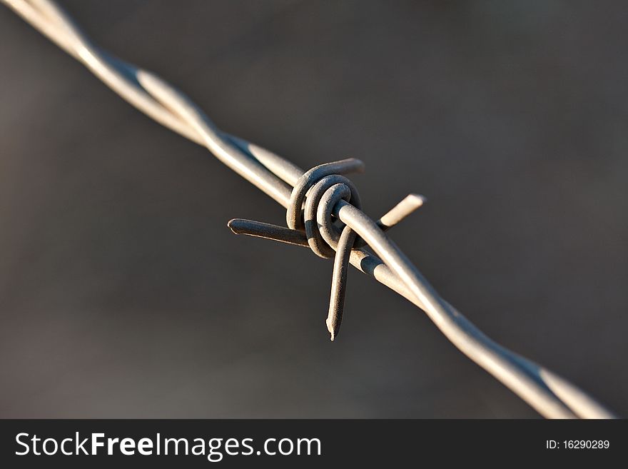 Closeup barbed wire diagonal with dark background