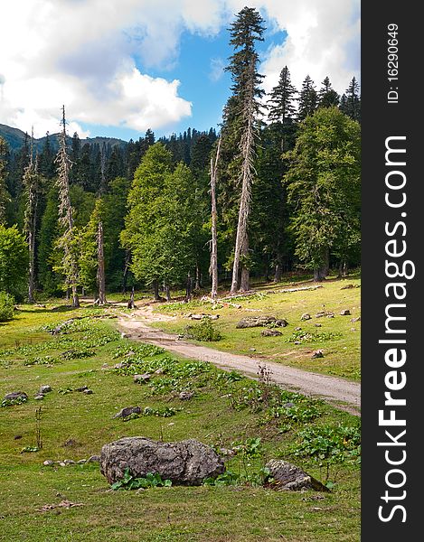 Picturesque valleys above lake Ritsa involve with the beauty and mineral sources of many tourists.Abkhazia. Picturesque valleys above lake Ritsa involve with the beauty and mineral sources of many tourists.Abkhazia.