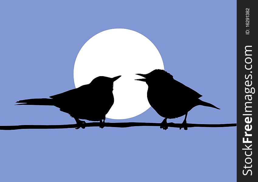 Vector drawing two birds on solar background