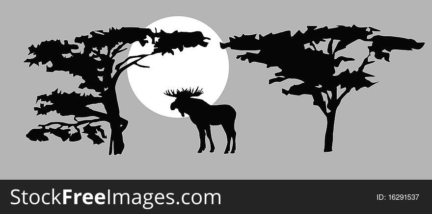 Vector drawing moose on background sun. Vector drawing moose on background sun