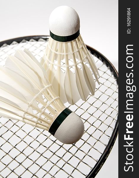 Badminton Shuttlecocks On The Racket