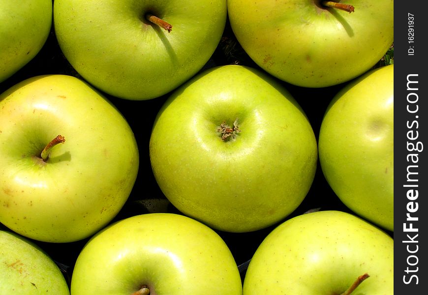 Detail photo texture of the green apples background. Detail photo texture of the green apples background