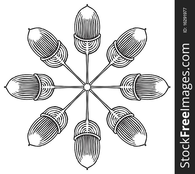 Black and white drawing of oak acorn in rosette shape