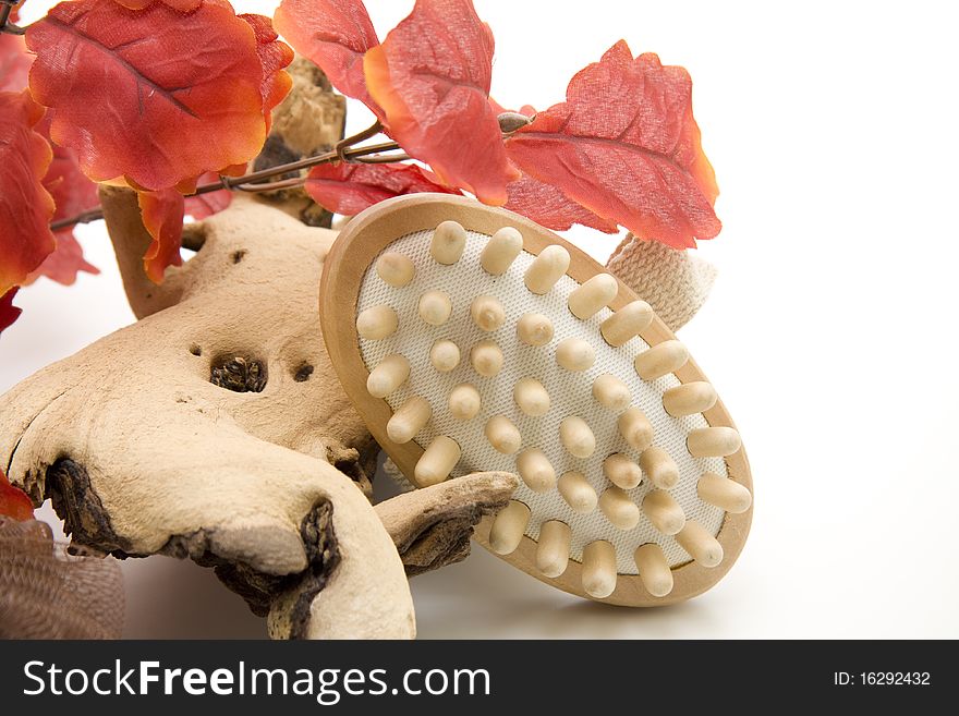 Branches with red leaves and massage brush